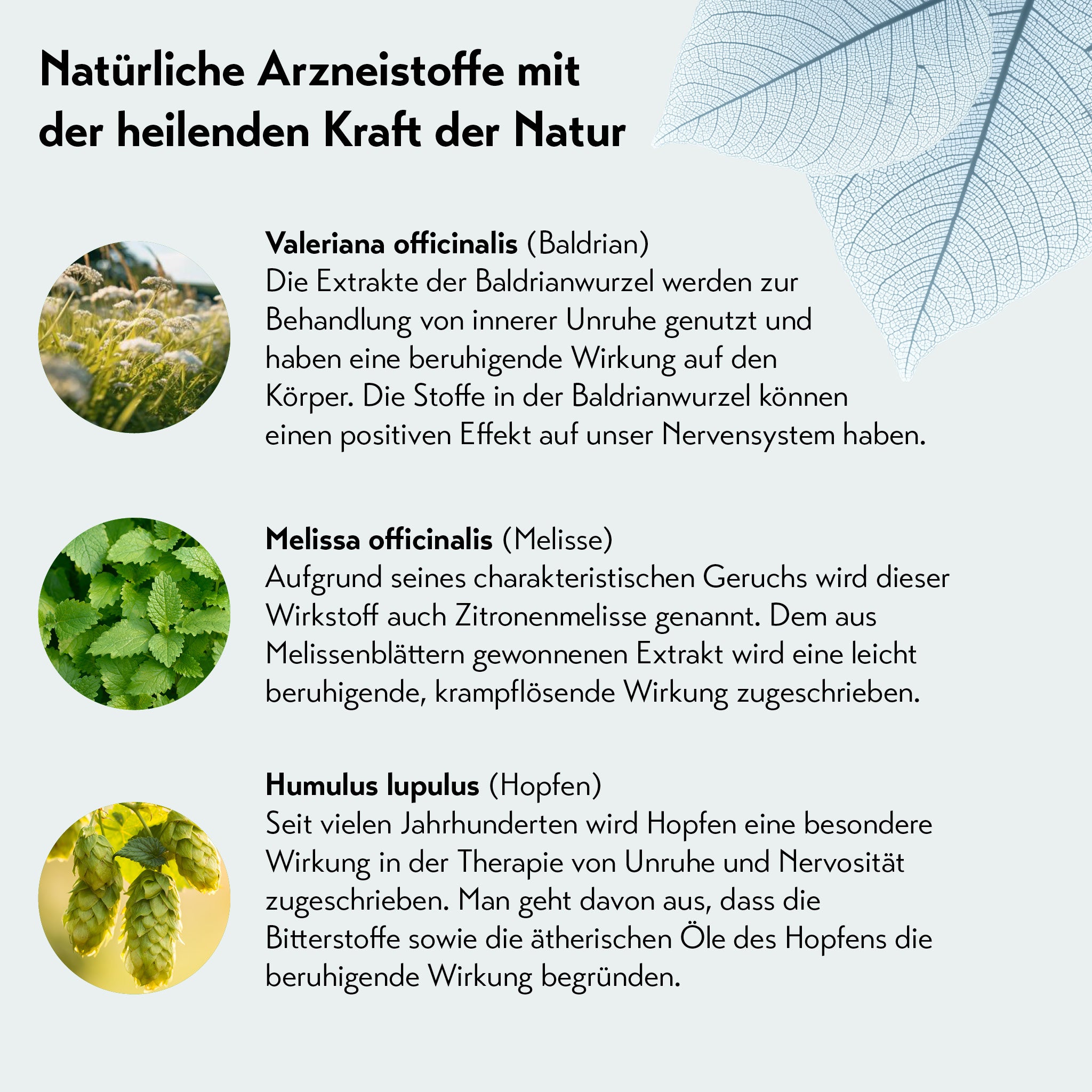 Grafik mit Text über natürliche Arzneistoffe: Baldrian, Melisse, Hopfen. Jeweils Foto der Pflanze mit Beschreibung zur beruhigenden Wirkung auf Nerven, Unruhe und innere Anspannung.