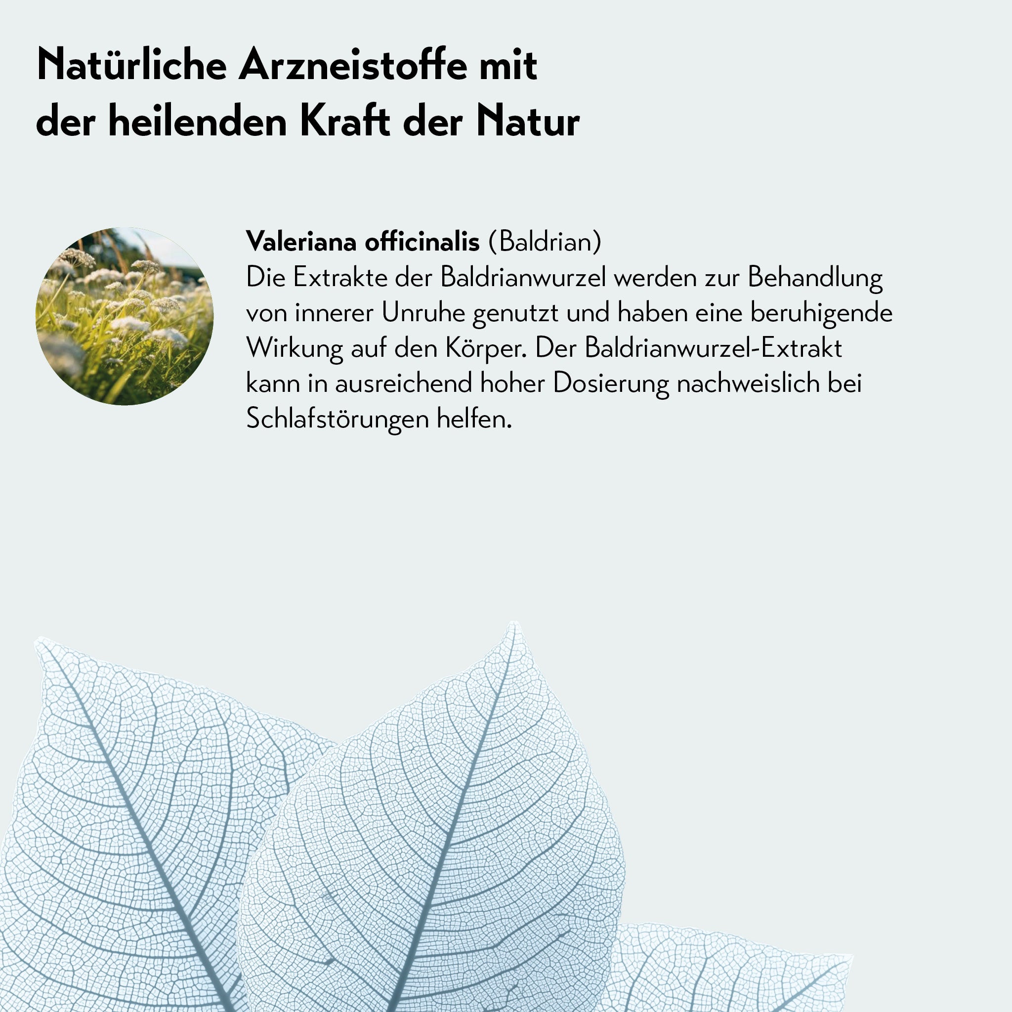 Grafik mit Text zu natürlichen Arzneistoffen: Valeriana officinalis (Baldrian). Beschreibung der beruhigenden Wirkung bei innerer Unruhe und Hinweis, dass Baldrian in ausreichender Dosierung bei Schlafstörungen helfen kann. Pflanzengrafik im Hintergrund.
