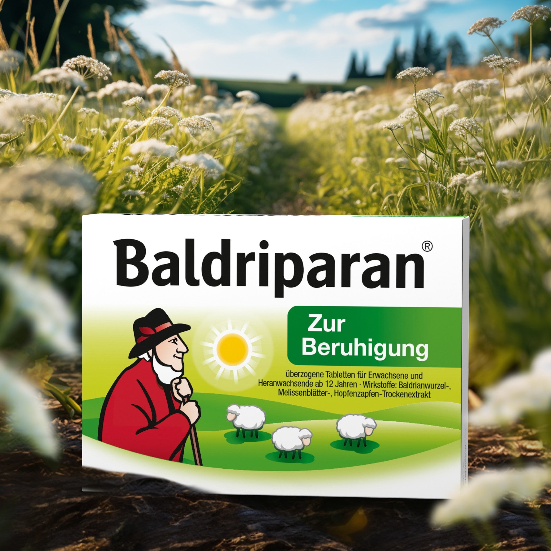 Verpackung von Baldriparan Zur Beruhigung in einer Blumenwiese. Zu sehen sind ein Hirte mit rotem Mantel, drei Schafe und eine Sonne. Text: „Zur Beruhigung“ – enthält Baldrianwurzel-, Melissenblätter- und Hopfenzapfen-Trockenextrakt.